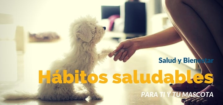 5 Hábitos saludables que mejorarán tu vida y la de tu mascota