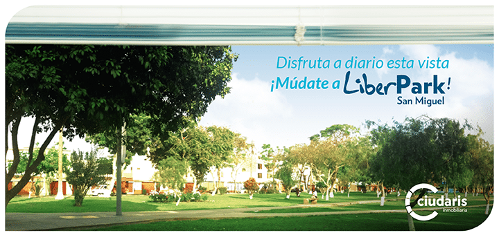 10 Razones para vivir en un departamento frente al parque