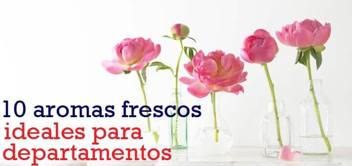 10 Aromas frescos ideales para departamentos