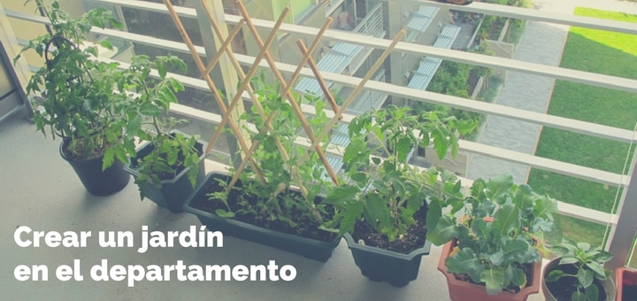 Cómo crear un jardín en el departamento