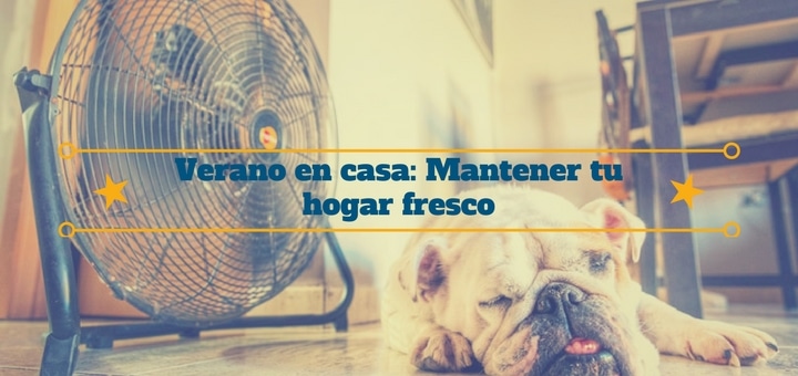 Verano en casa: Mantener tu hogar fresco