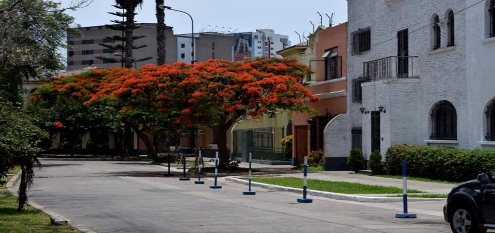  Descubre el encanto de vivir en un departamento en Santa Beatriz