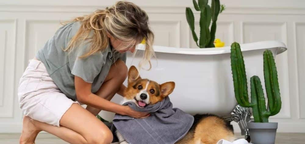 9 consejos para criar a tu mascota en casa