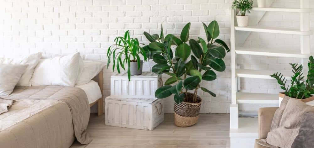 5 ideas de decoración ecoamigable para tu departamento de estreno